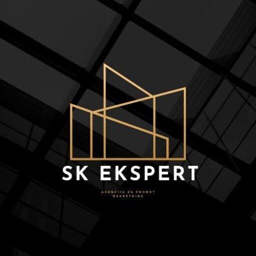 SK EXPERT, logo