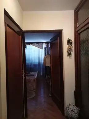 Kuća 313 m² + plac 534 m², Šabac, fotografija 16