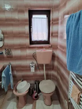 Kuća 282 m² + plac 312 m² – Trkalište, Šabac