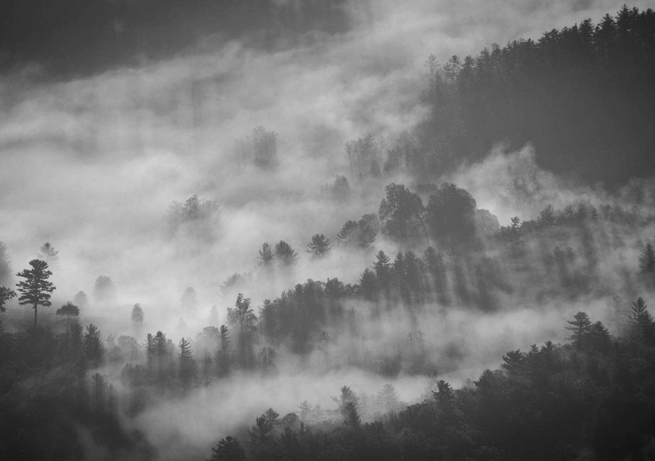 Fotografija nekretnine: Namešten stan za izdavanje